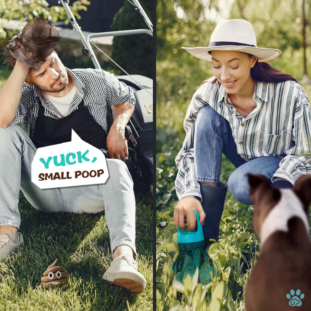 Hands-Free, Mess-Free Walks