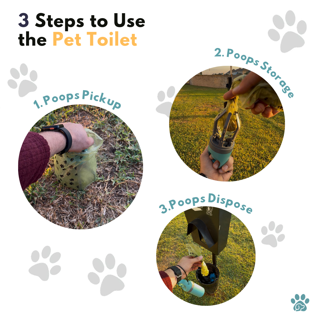 Hands-Free, Mess-Free Walks